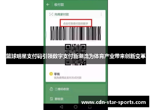 篮球明星支付码引领数字支付新潮流为体育产业带来创新变革